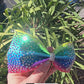 Tailless cheer bow